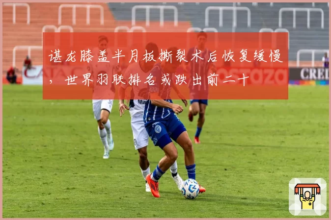 谌龙膝盖半月板撕裂术后恢复缓慢,世界羽联排名或跌出前二十
