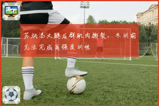 苏炳添大腿后群肌肉撕裂，冬训前无法完成高强度训练