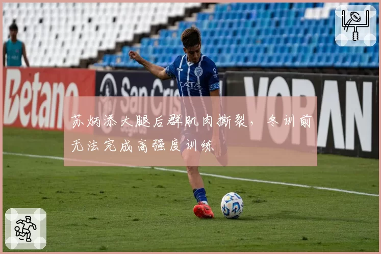 苏炳添大腿后群肌肉撕裂，冬训前无法完成高强度训练