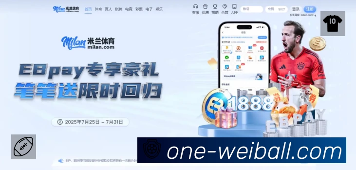 企业概况